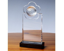 水晶獎牌